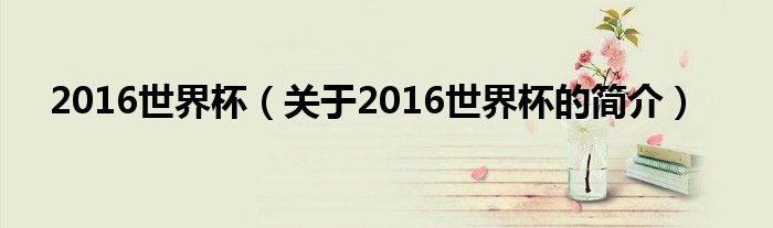 2016世界杯（關于2016世界杯的簡介）