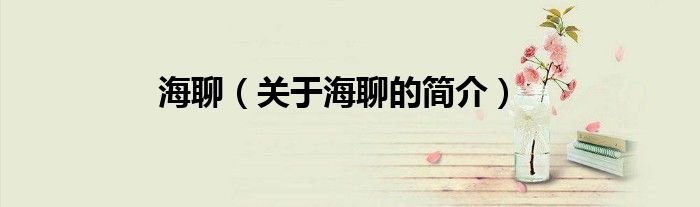 海聊（關于海聊的簡介）