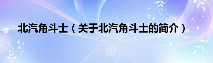 北汽角斗士（關于北汽角斗士的簡介）