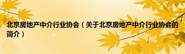 北京房地產(chǎn)中介行業(yè)協(xié)會(huì)（關(guān)于北京房地產(chǎn)中介行業(yè)協(xié)會(huì)的簡介）