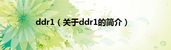 ddr1（關于ddr1的簡介）