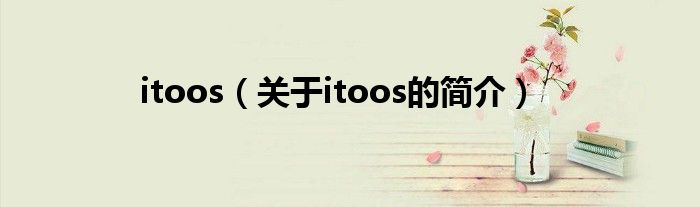 itoos（關于itoos的簡介）