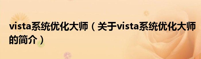 vista系統優化大師（關于vista系統優化大師的簡介）