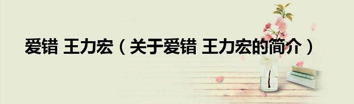 愛錯 王力宏（關于愛錯 王力宏的簡介）