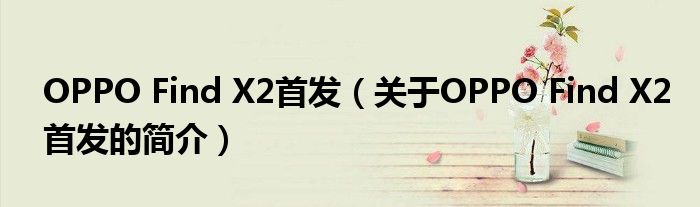 OPPO Find X2首發（關于OPPO Find X2首發的簡介）