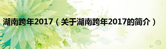湖南跨年2017（關(guān)于湖南跨年2017的簡介）