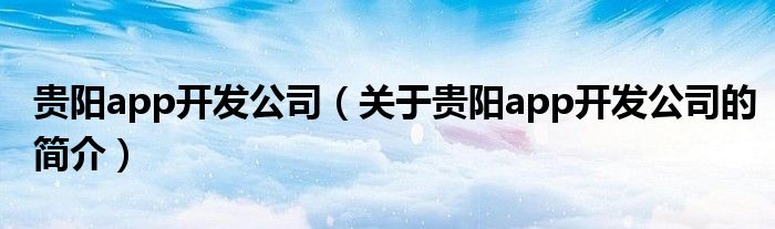 貴陽app開發公司（關于貴陽app開發公司的簡介）