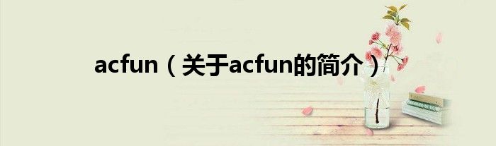 acfun（關于acfun的簡介）