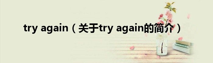 try again（關于try again的簡介）