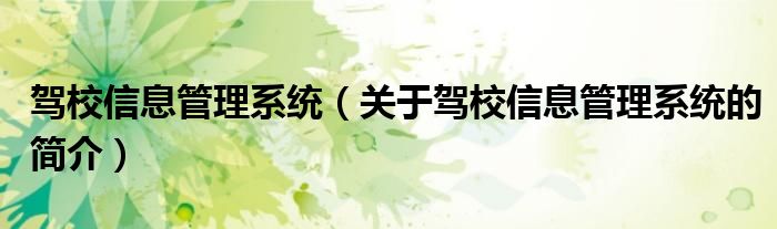 駕校信息管理系統（關于駕校信息管理系統的簡介）