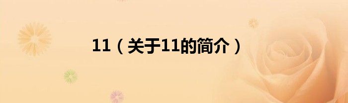 11（關于11的簡介）