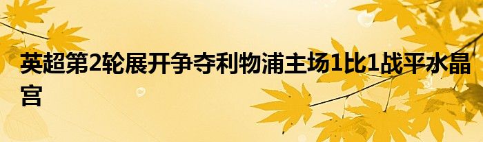 英超第2輪展開爭奪利物浦主場1比1戰平水晶宮