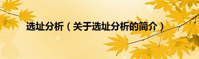 選址分析（關于選址分析的簡介）