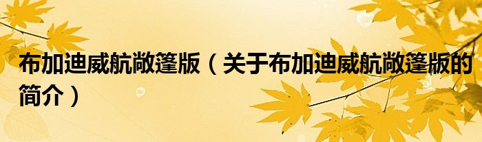 布加迪威航敞篷版（關(guān)于布加迪威航敞篷版的簡(jiǎn)介）