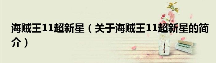 海賊王11超新星（關于海賊王11超新星的簡介）