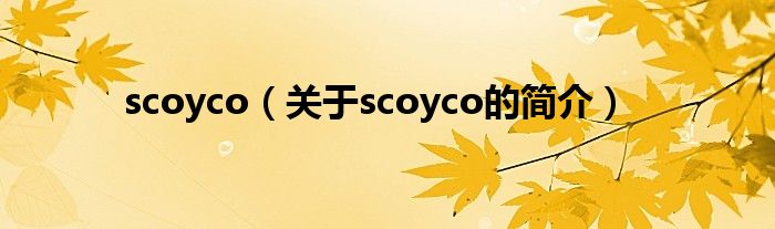 scoyco（關于scoyco的簡介）
