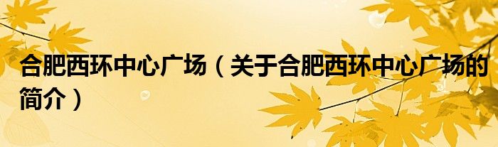 合肥西環中心廣場（關于合肥西環中心廣場的簡介）