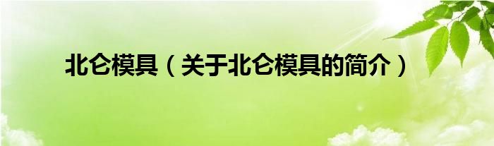 北侖模具（關于北侖模具的簡介）