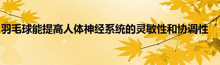 羽毛球能提高人體神經系統的靈敏性和協調性