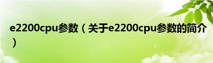 e2200cpu參數（關于e2200cpu參數的簡介）