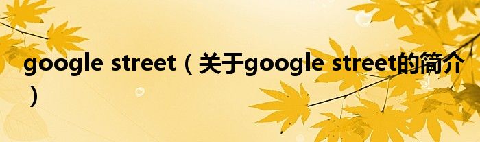google street（關于google street的簡介）