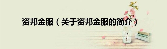 資邦金服（關(guān)于資邦金服的簡介）