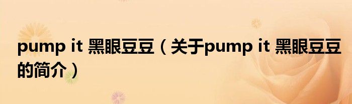 pump it 黑眼豆豆（關于pump it 黑眼豆豆的簡介）