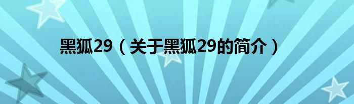 黑狐29（關于黑狐29的簡介）