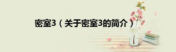 密室3（關于密室3的簡介）