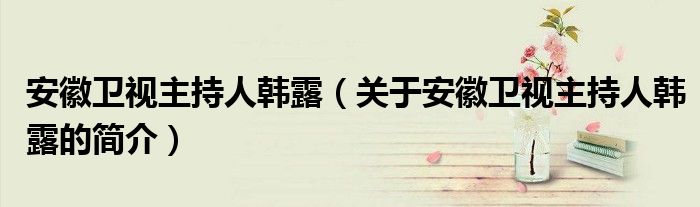 安徽衛視主持人韓露（關于安徽衛視主持人韓露的簡介）