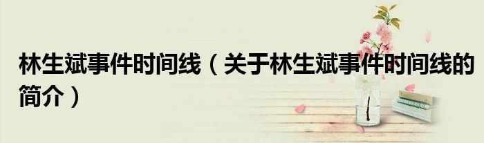 林生斌事件時間線（關于林生斌事件時間線的簡介）