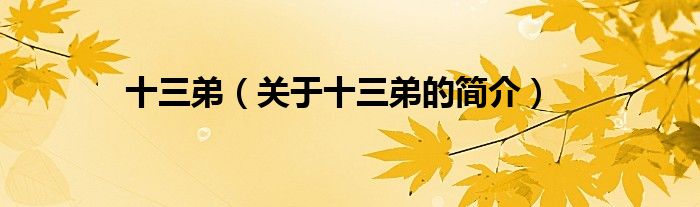十三弟（關于十三弟的簡介）