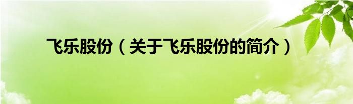 飛樂股份（關于飛樂股份的簡介）