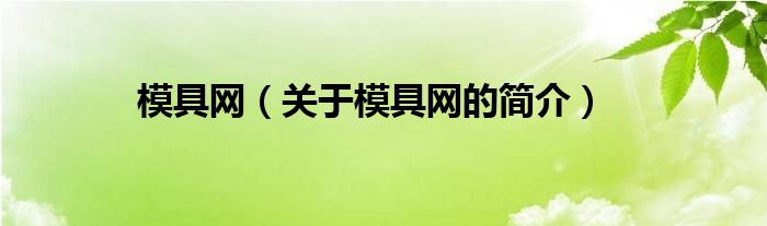 模具網(wǎng)（關(guān)于模具網(wǎng)的簡(jiǎn)介）