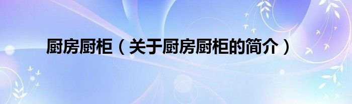 廚房廚柜（關于廚房廚柜的簡介）
