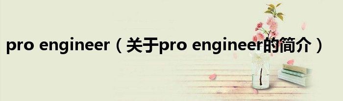 pro engineer（關(guān)于pro engineer的簡(jiǎn)介）