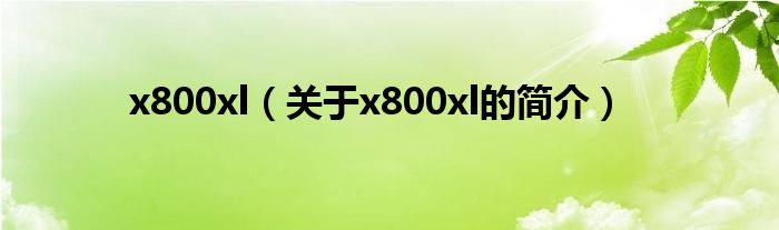 x800xl（關于x800xl的簡介）