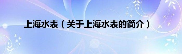 上海水表（關于上海水表的簡介）