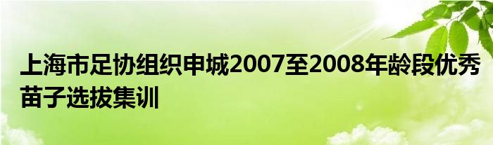 上海市足協組織申城2007至2008年齡段優秀苗子選拔集訓