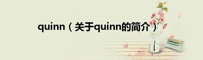 quinn（關于quinn的簡介）