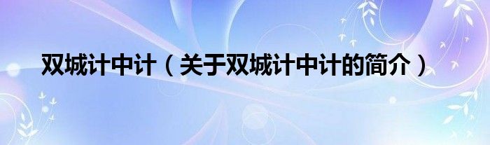 雙城計中計（關(guān)于雙城計中計的簡介）