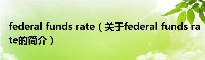 federal funds rate（關于federal funds rate的簡介）