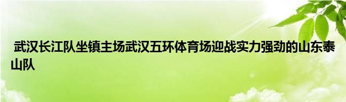  武漢長江隊坐鎮主場武漢五環體育場迎戰實力強勁的山東泰山隊