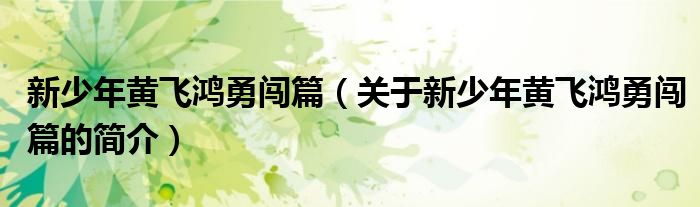 新少年黃飛鴻勇闖篇（關(guān)于新少年黃飛鴻勇闖篇的簡(jiǎn)介）