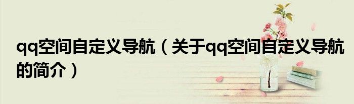qq空間自定義導航（關于qq空間自定義導航的簡介）