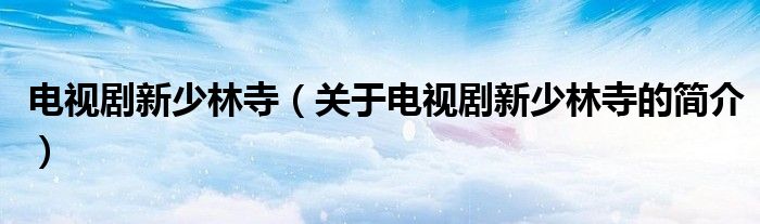 電視劇新少林寺（關于電視劇新少林寺的簡介）