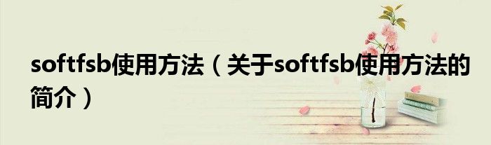 softfsb使用方法（關于softfsb使用方法的簡介）