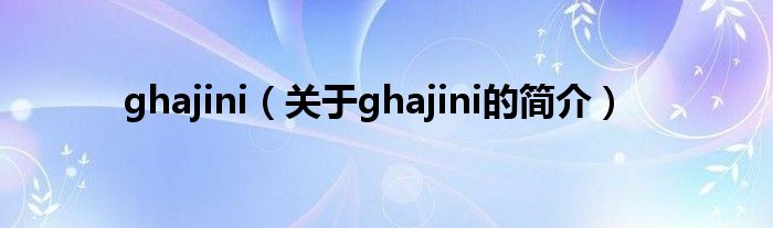 ghajini（關于ghajini的簡介）