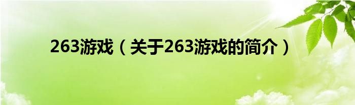 263游戲（關于263游戲的簡介）