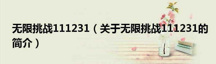無限挑戰111231（關于無限挑戰111231的簡介）